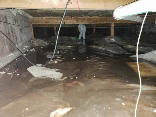 Best Storm and Flood Water Damage Restoration in Cambridge, OH